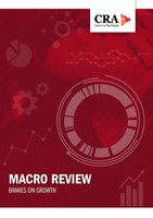 Publication description