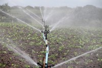 Water use quotas a THREAT to agriculture