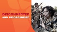 Disconnected & disorganised defence: The state of the SANDF